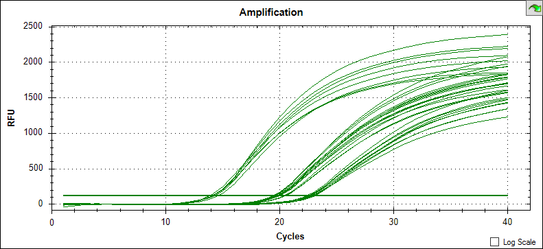 荧光定量PCR典型的扩增曲线