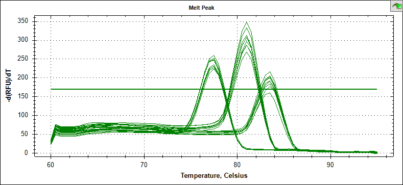 荧光定量PCR典型的溶解曲线